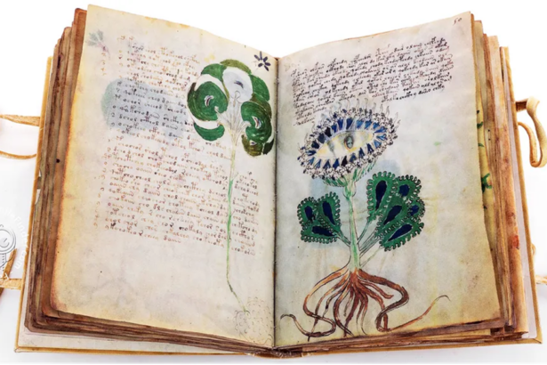 geheimes-wissen-im-mittelalter-das-voynich-manuskript