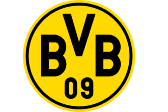 bvb-im-champions-league-finale