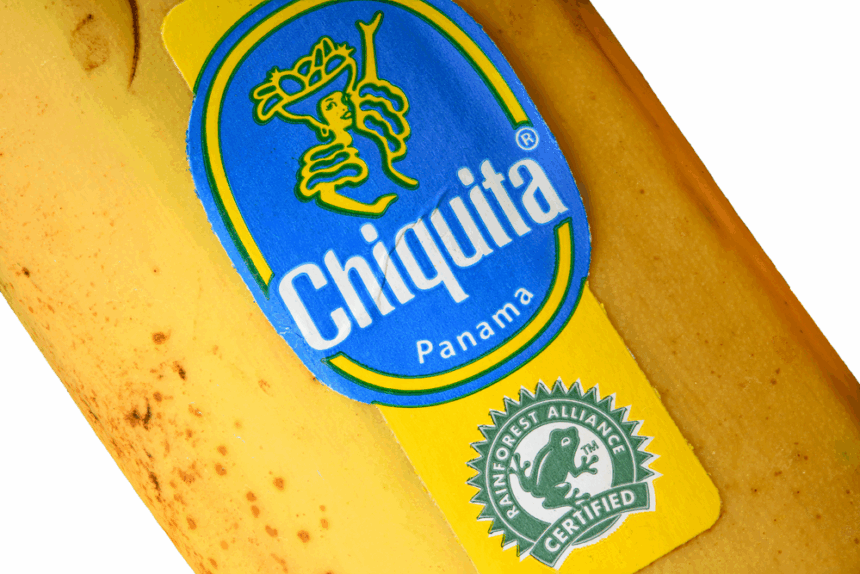 massenentlassungen-bei-chiquita-erschüttern-panama