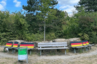 bemalte-parkbänke-mit-deutschlandflagge-entfachen-diskussion