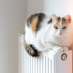 sechs-monate-bis-zum-stichtag-für-fossile-heizsysteme