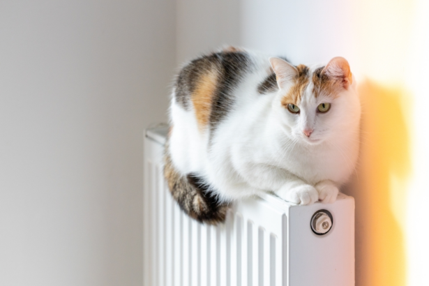 sechs-monate-bis-zum-stichtag-für-fossile-heizsysteme