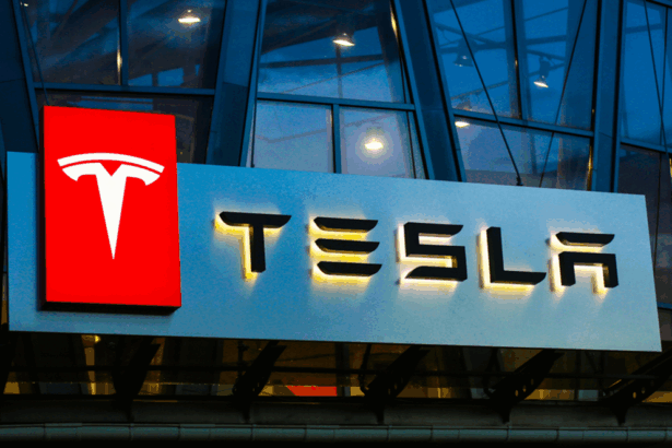 tesla-verliert-in-europa-weiter-an-marktanteilen