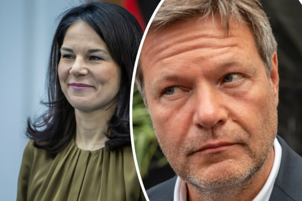 satire-affäre-im-auswärtigen-amt-zeigt-dünne-haut