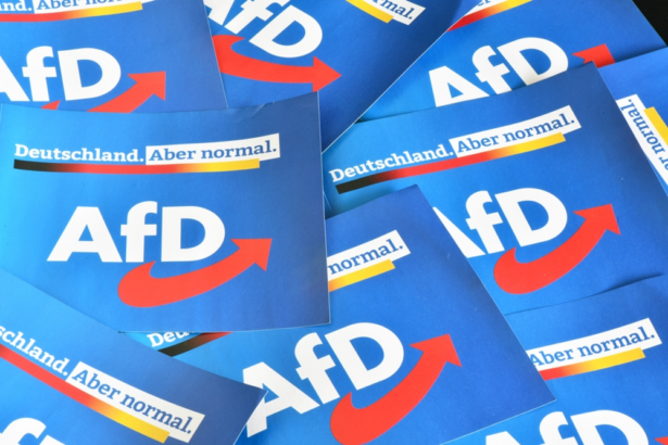 afd-gewinnt-jugend,-spd-verliert-rückhalt